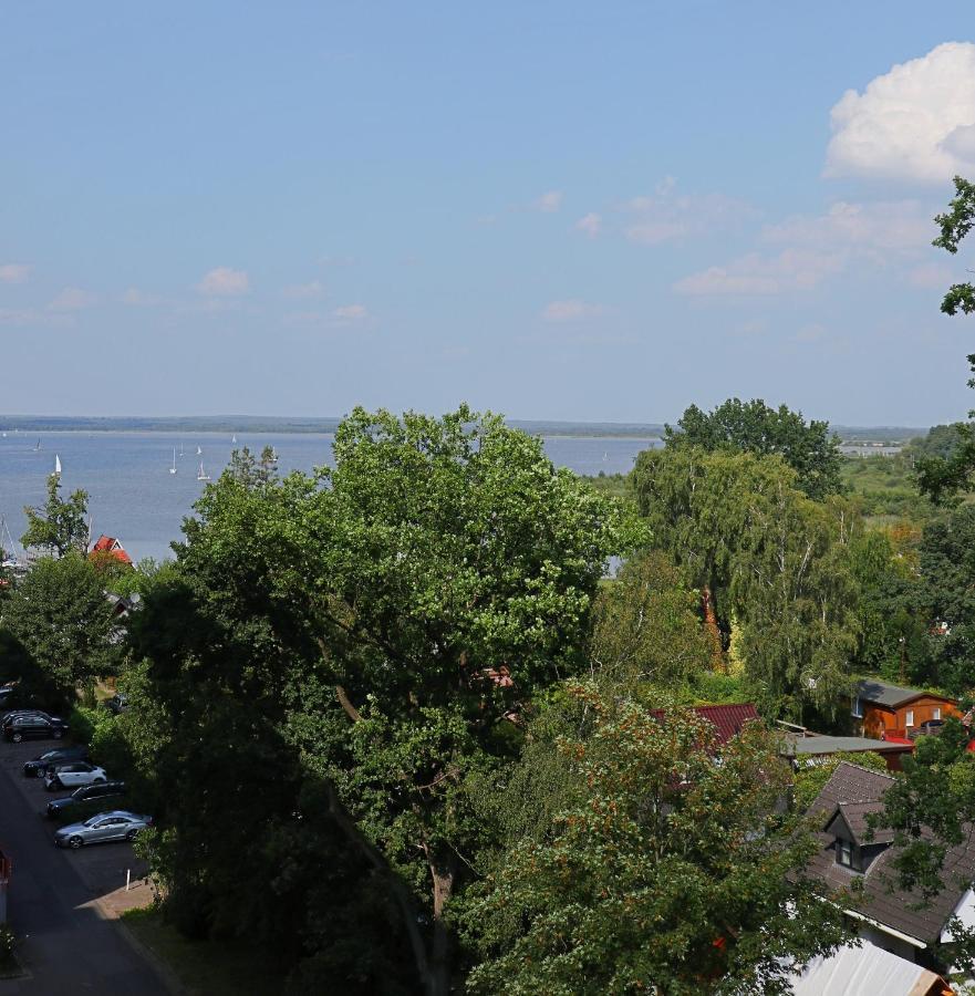 Ferien-Whg Seeadler Direkt Am Meer, Mit Meerblick Apartment Щайнхуде Екстериор снимка