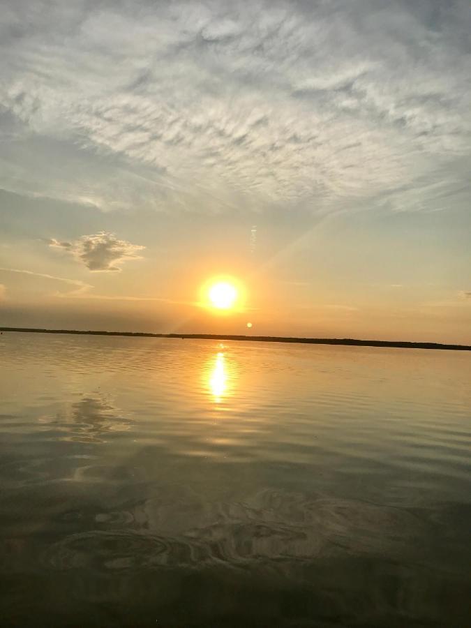 Ferien-Whg Seeadler Direkt Am Meer, Mit Meerblick Apartment Щайнхуде Екстериор снимка